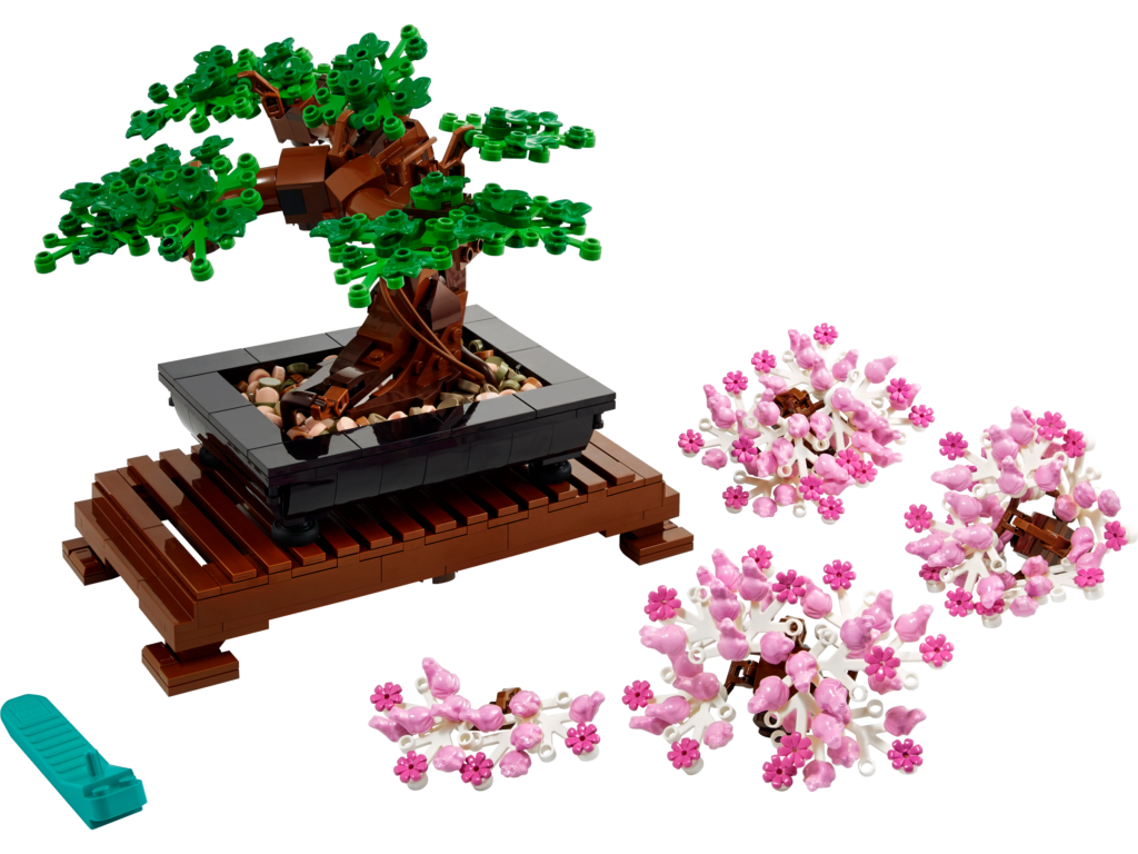 Botanicals in de kamer: boeket, bonsai en succulenten