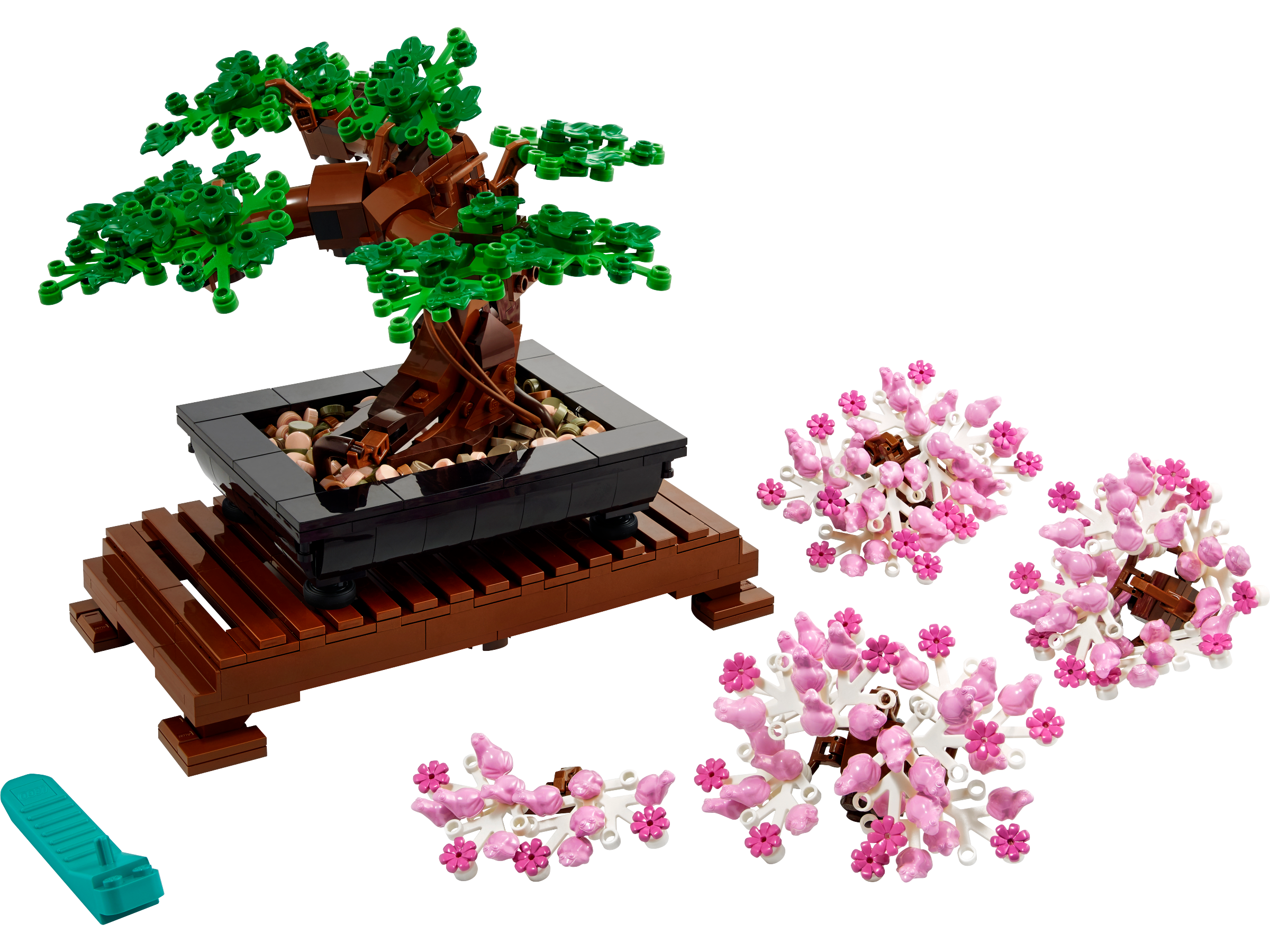 Botanicals in de kamer: boeket, bonsai en succulenten
